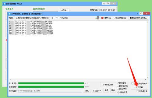 视频链接地址,【视频链接】揭秘XX领域的惊人真相！
